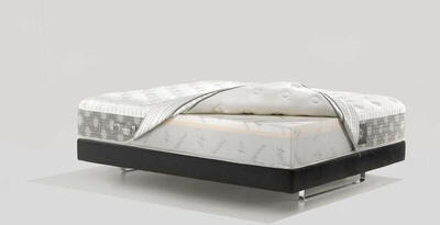 Dolce Vita Dual 12 (����, ��� 2)