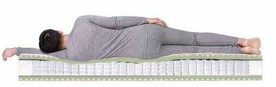 ������ Dreamline Komfort Massage TFK (����, ��� 3)