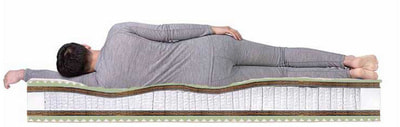 ������ Dreamline Space Massage S2000 (����, ��� 3)