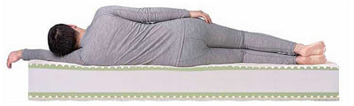 ������ Dreamline Roll Massage Big (����, ��� 3)