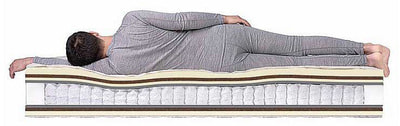 ������ Dreamline Dream Massage DS (����, ��� 3)