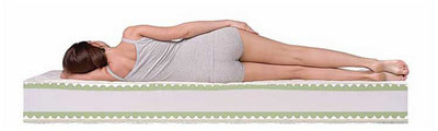 ������ Dreamline Roll Massage (����, ��� 2)