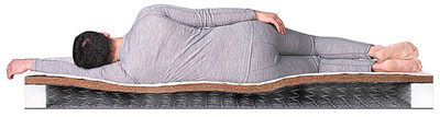 ������ Dreamline Dream-3 BS-120 (����, ��� 2)