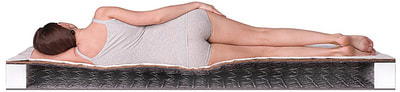 ������ Dreamline Dream-1 BS-120 (����, ��� 3)