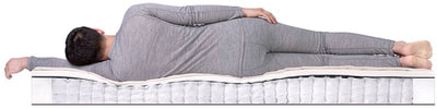 ������ Dreamline Memory Sleep TFK (����, ��� 3)