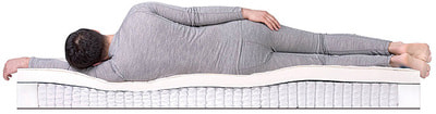 ������ Dreamline Prime Soft S1000 (����, ��� 2)