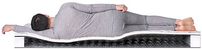 ������ Dreamline Sleep-3 BS-120 (����, ��� 2)