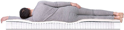 ������ Dreamline Sleep-2 S-1000 (����, ��� 2)