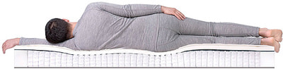 ������ Dreamline Sleep-3 S-1000 (����, ��� 2)