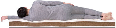 ������ Dreamline Orto Soft (����, ��� 2)