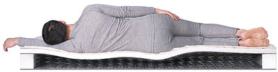 ������ Dreamline Single Holl BS-120 (����, ��� 2)
