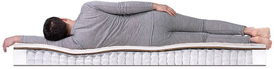 ������ Dreamline Single Foam Hard TFK (����, ��� 2)