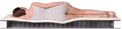 ������ Dreamline Single Foam Hard BS-120 (����, ��� 3)