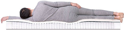 ������ Dreamline Single Sleep-2 S1000 (����, ��� 2)