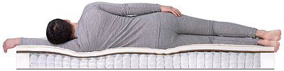 ������ Dreamline SleepDream Hard TFK (����, ��� 3)
