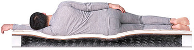 ������ Dreamline SleepDream Hard BS-120 (����, ��� 2)
