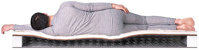������ Dreamline SleepDream Medium BS-120 (����, ��� 2)