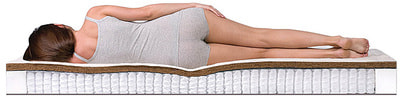 ������ Dreamline SleepDream S1000 (����, ��� 4)