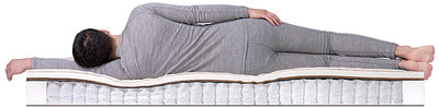 ������ Dreamline SleepDream Soft TFK (����, ��� 2)