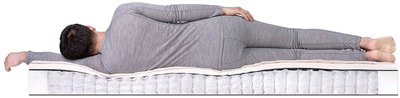 ������ Dreamline SleepDream Soft TFK (����, ��� 3)