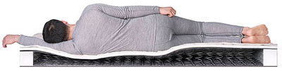 ������ Dreamline Eco Foam BS-120 (����, ��� 2)