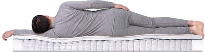 ������ Dreamline Eco Holl TFK (����, ��� 2)