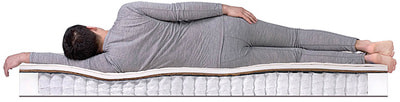 ������ Dreamline Eco Foam Hard TFK (����, ��� 2)