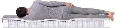 ������ Dreamline Eco Foam S1000 (����, ��� 2)