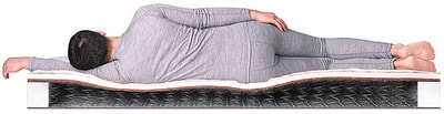 ������ Dreamline Eco Foam Hard BS-120 (����, ��� 2)