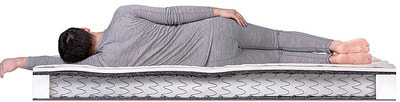 ������ Dreamline Eco Strong BS-120 (����, ��� 2)