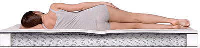 ������ Dreamline Eco Strong BS-120 (����, ��� 3)