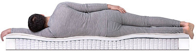 ������ Dreamline Eco Holl S1000 (����, ��� 2)