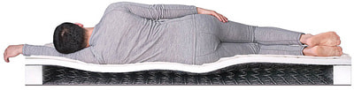 ������ Dreamline Eco Holl BS-120 (����, ��� 2)