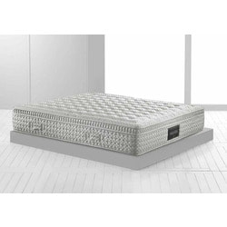 Maestro Dual 14. ��� 2