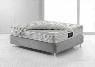 Maestro Dual 14 (����)