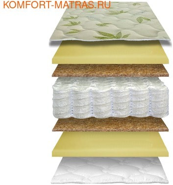 ������������ ����������� ����� 23 ��