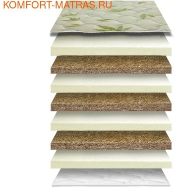 ������� ����� �-24