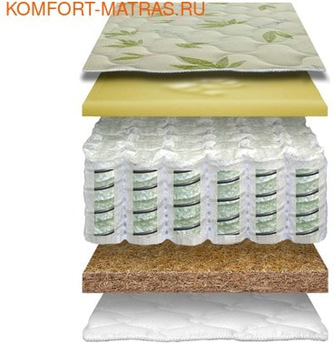 ������ �����-�������