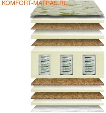 ������ ���������