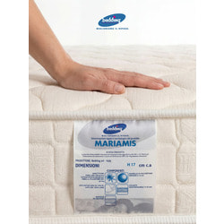 Mariamis (����-����)